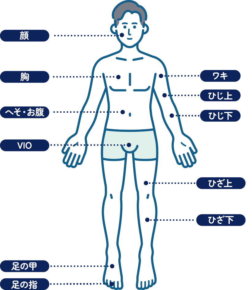 メンズ脱毛部位（前）